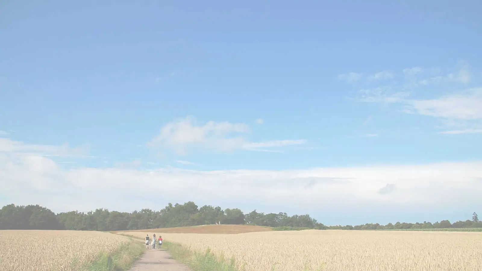 Feld bei Lilienthal am Rand des Teufelsmoors